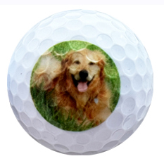 Pets on Golf Balls