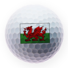 Welsh Flag Printed Golf Balls | Best4Balls