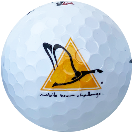 2 colour logo balls2