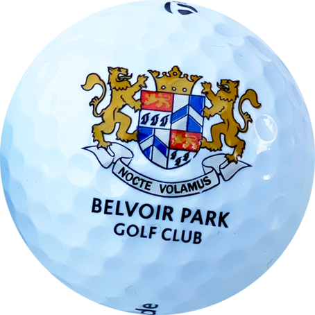 Logo golf balls 4 colour print